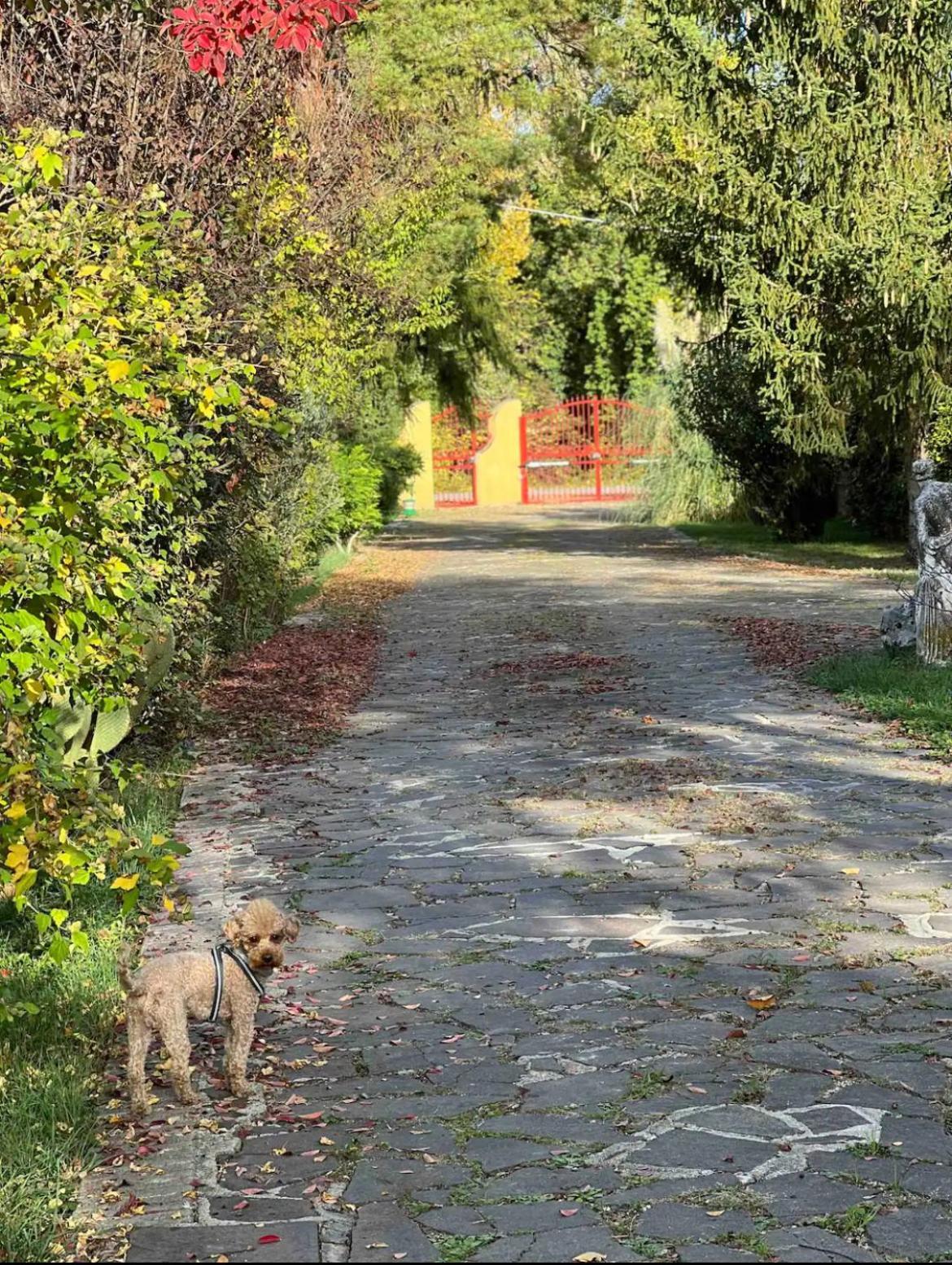 Villa Alberto Sulmona Buitenkant foto